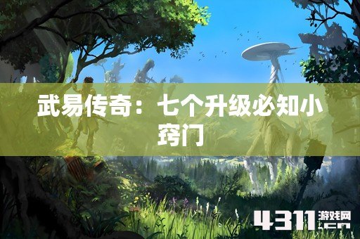 武易传奇：七个升级必知小窍门