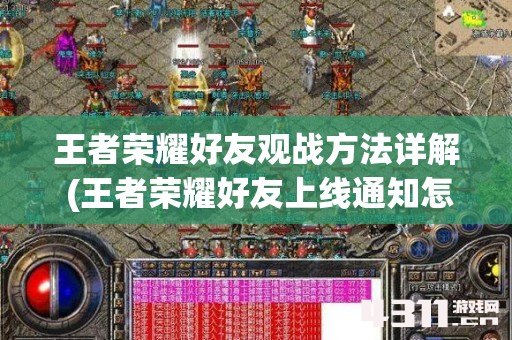 王者荣耀好友观战方法详解 (王者荣耀好友上线通知怎么设置)