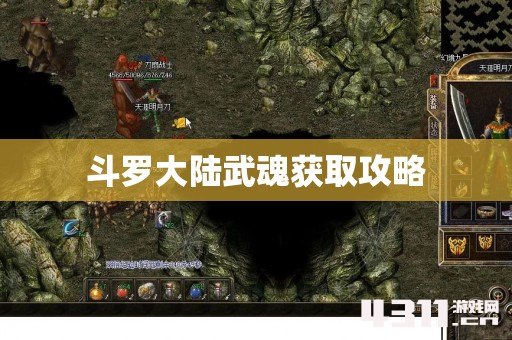 斗罗大陆武魂获取攻略