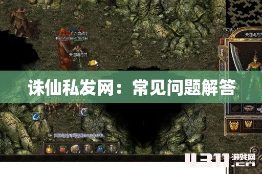 诛仙私发网：常见问题解答