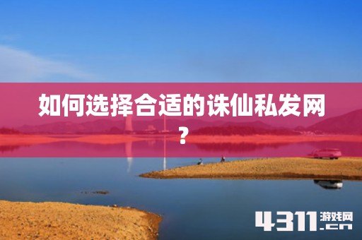 如何选择合适的诛仙私发网？